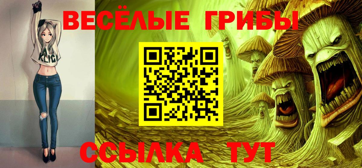 Галлюциногенные грибы MAGIC MUSHROOMS  Псилоцибиновые грибы Psilocybine cubensis  Павлово  Вход с VPN 